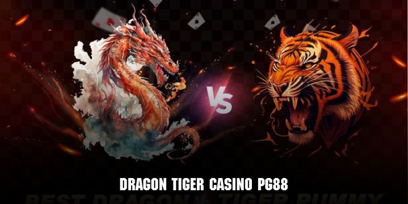 Dragon Tiger một thể loại giải trí dễ chơi dễ trúng cực hấp dẫn