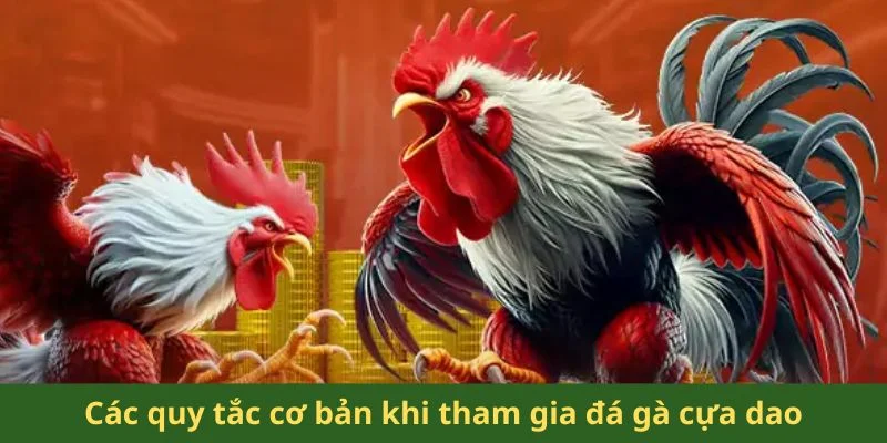 Đá Gà Cựa Dao Philippines - Những Giống Gà Chiến Mạnh Mẽ 2 Các quy tắc cơ bản khi tham gia đá gà cựa dao