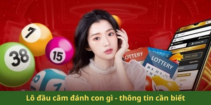 Lô Đầu Câm Đánh Con Gì? Bí Quyết Chinh Phục Vận May 2025 1 Lô đầu câm đánh con gì - thông tin cần biết