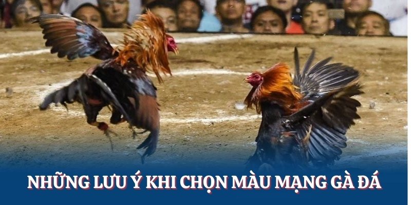 Một số lưu ý khi chọn màu mạng gà đá
