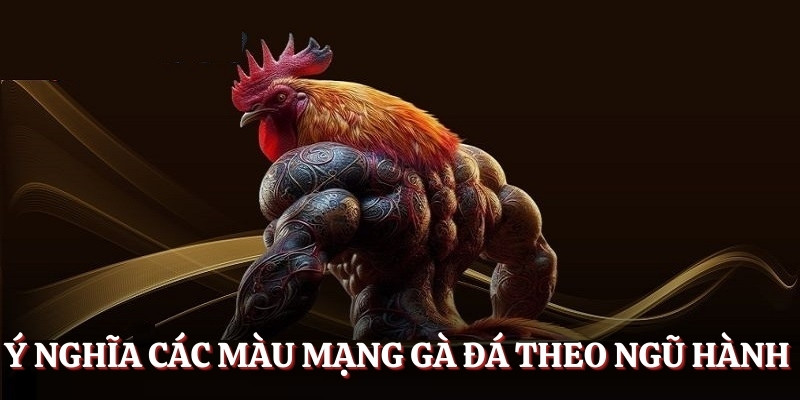 Giải mã ý nghĩa các màu mạng gà đá
