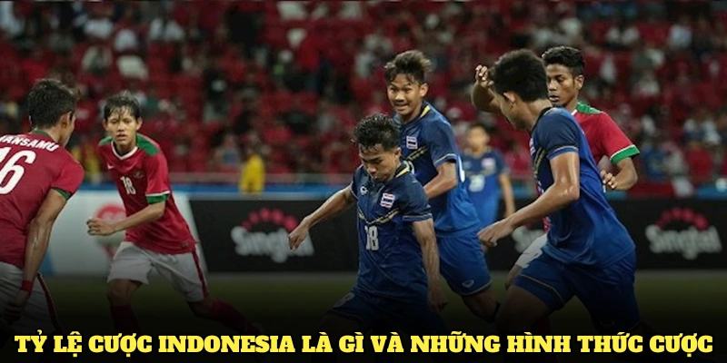 Tỷ lệ cược Indonesia - Cập Nhật Thông Tin Thú Vị 3 Tỷ lệ cược Indonesia là gì và những hình thức cược chính