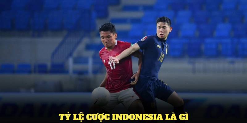 Tỷ lệ cược Indonesia