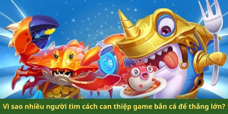 Hack Game Bắn Cá Online – Vén Màn Thủ Thuật Tăng Xu 2 Vì sao nhiều người tìm cách can thiệp game bắn cá để thắng lớn?